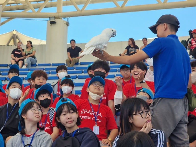 フィリピン留学 Cebu21 - CIJ Liloan Campus-CAMP STUDENTS-36